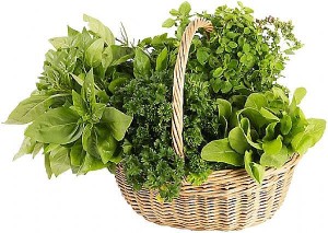 herbs to quit smoking